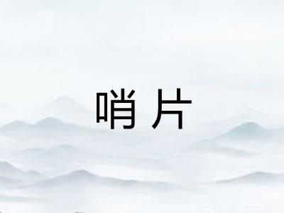 哨片