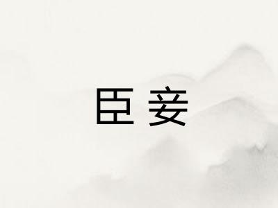 臣妾