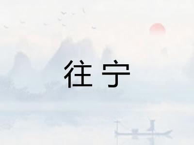 往宁