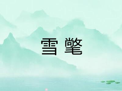 雪氅