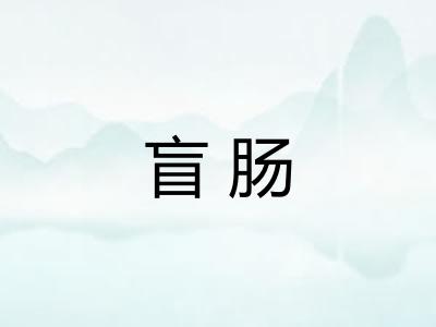 盲肠