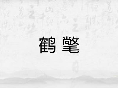 鹤氅