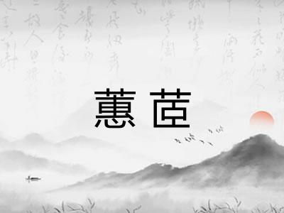 蕙茝