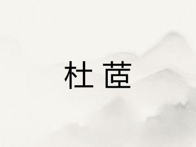 杜茝