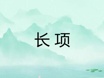 长项