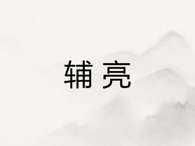辅亮