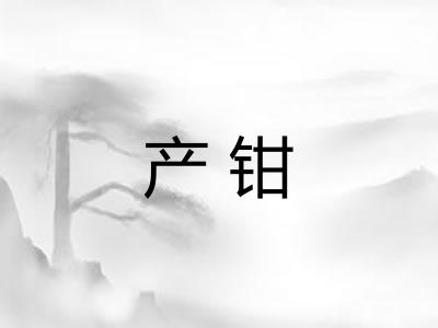 产钳 产钳
