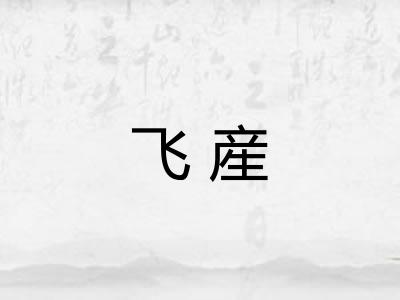 飞産