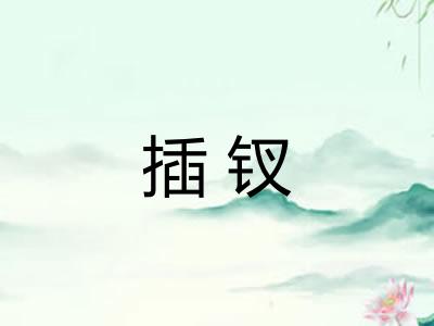 插钗