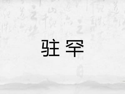 驻罕