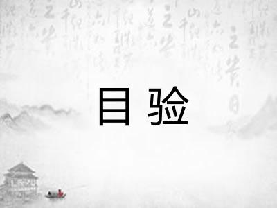 目验