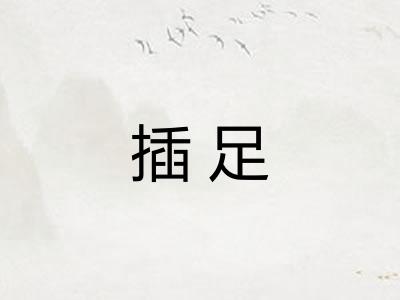 插足