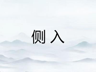 侧入
