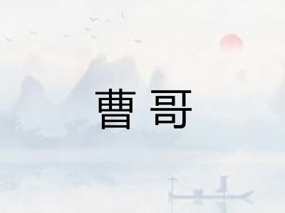 曹哥