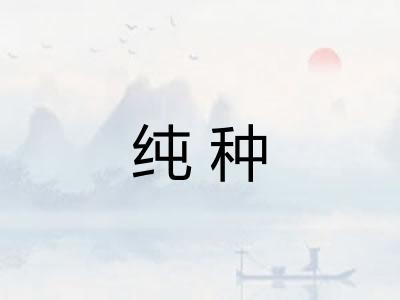 纯种