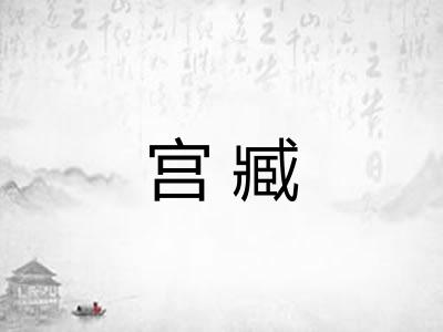宫臧