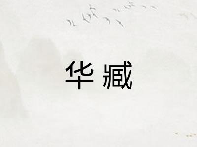 华臧
