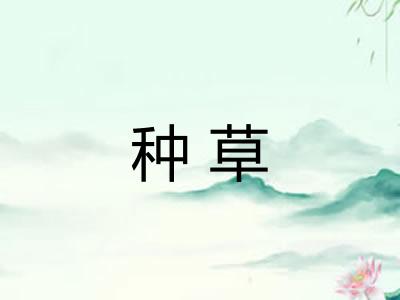 种草