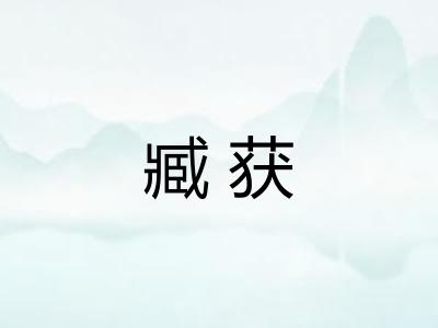 臧获