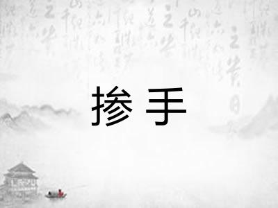 掺手