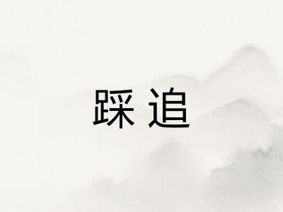 踩追