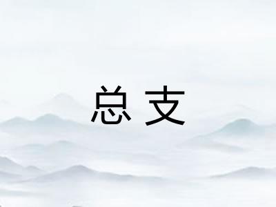 总支