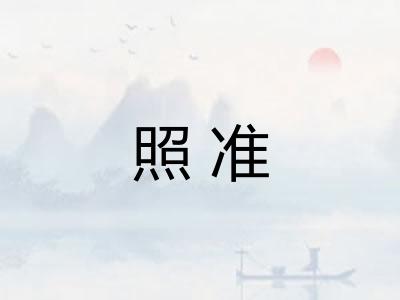 照准