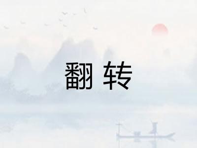 翻转 翻转
