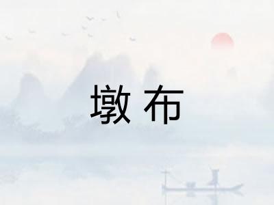 墩布