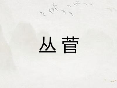 丛菅