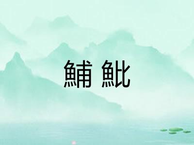 鯆魮