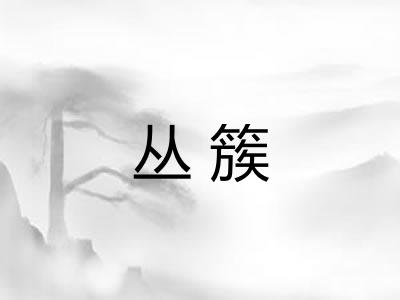 丛簇