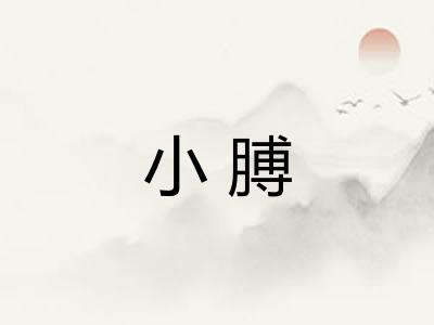 小膊