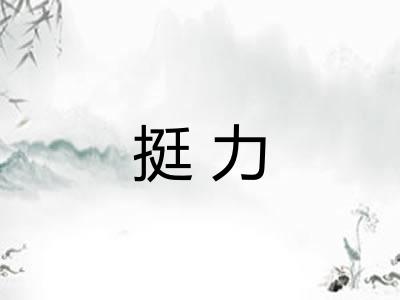 挺力 挺力