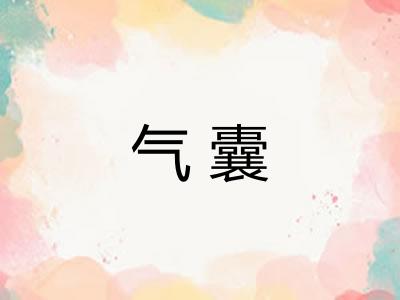气囊