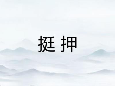 挺押
