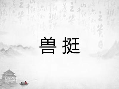 兽挺
