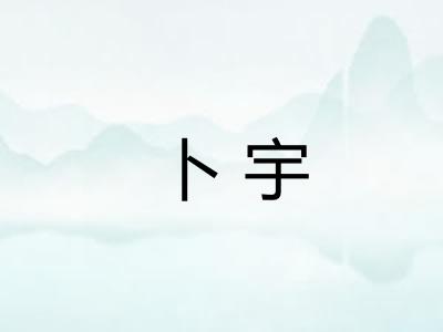 卜宇