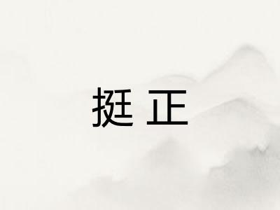 挺正