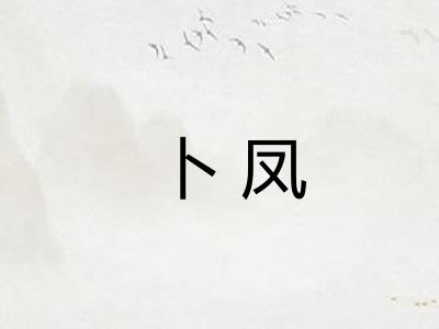 卜凤