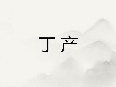 丁产