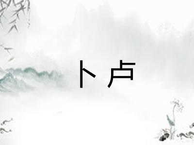 卜卢