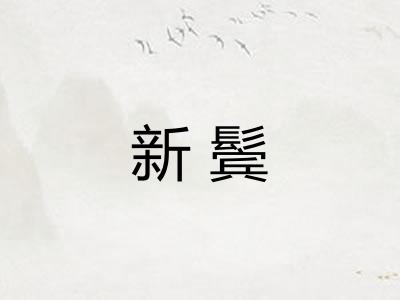 新鬓