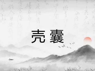 壳囊
