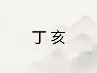 丁亥