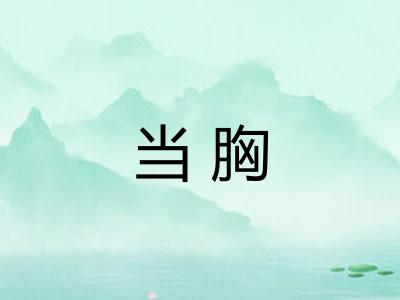 当胸
