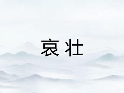 哀壮
