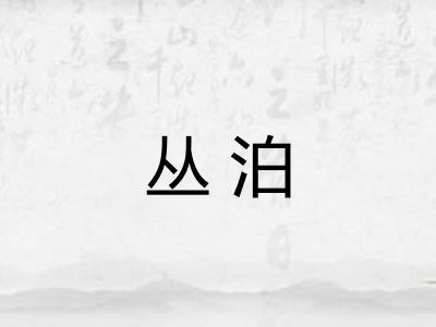 丛泊