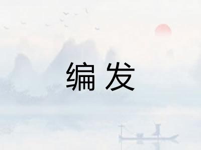 编发