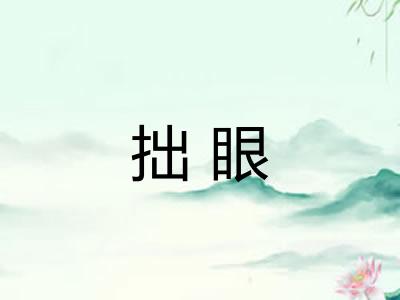 拙眼